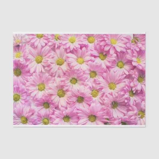 Pink Daisy Tissuepapier (Voorkant)