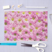 Pink Daisy Tissuepapier (Craft)