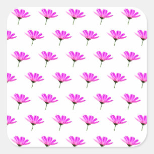 Pink Daisy Vierkante Sticker