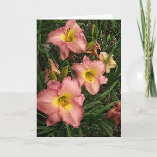 Pink Daylilies - Carte d'anniversaire Soeur (Devant)
