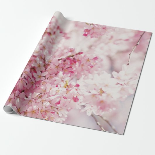 PINK EN WITTE CHERRY BLOSSOM CADEAUPAPIER (Uitgerold)