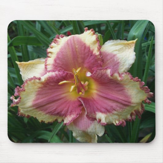 Pink Eyed Daylily Mousepad Muismat (Voorkant)