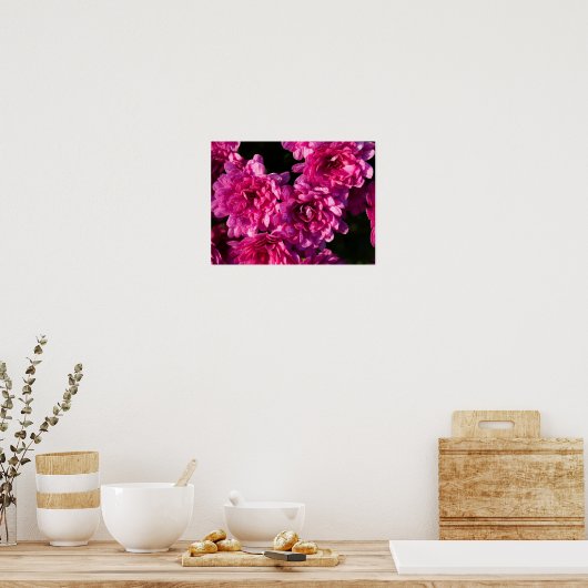 Pink Fall Mums Poster (Keuken)