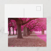 Pink Fantasy park Briefkaart (Voorkant / Achterkant)