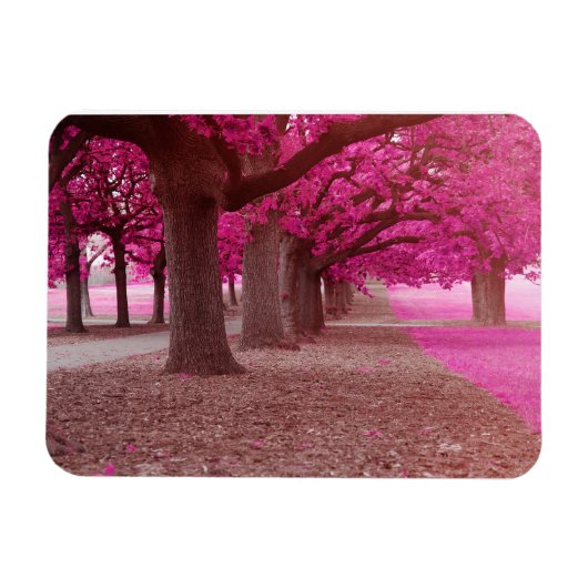 Pink Fantasy park Magneet (Horizontaal)