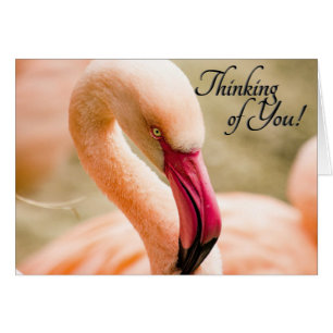 Pink Flamant rose Penser de vous Blank Inside