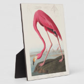 Pink Flamingo by John Audubon Fotoplaat (Zijkant)