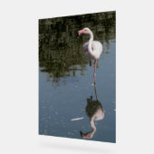 pink flamingo in the water (Angle)