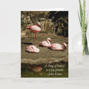 PINK FLAMINGO NOTE CARDS KAART