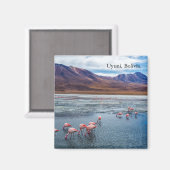 Pink Flamingoes in Bolivia Magneet (Voorkant / Achterkant)