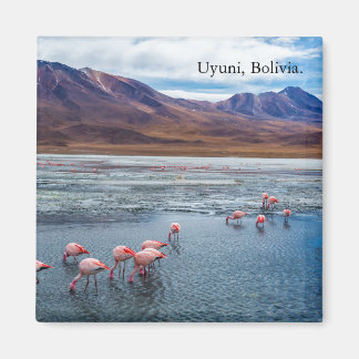 Pink Flamingoes in Bolivia Magneet