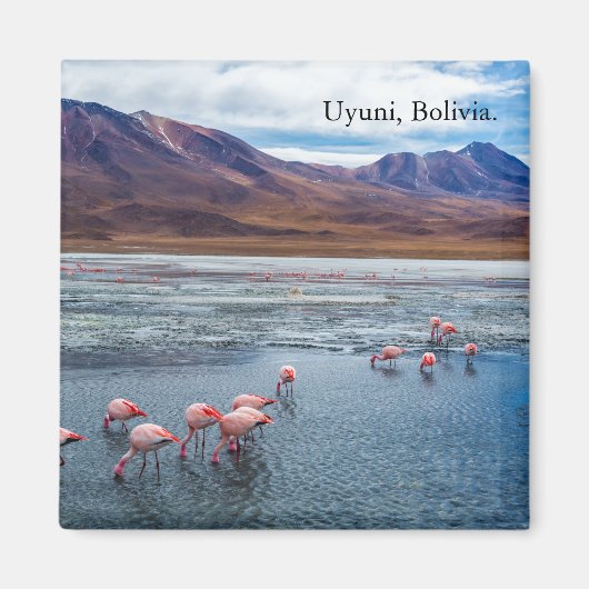 Pink Flamingoes in Bolivia Magneet (Voorkant)
