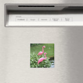 PINK FLAMINGOS magnet (vierkant) Magneet (Insitu (Vaatwasser))