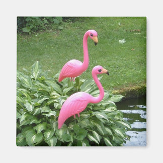 PINK FLAMINGOS magnet (vierkant) Magneet