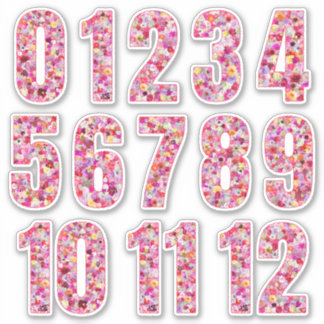 Pink Floral Numbers Twelve Months  Sticker