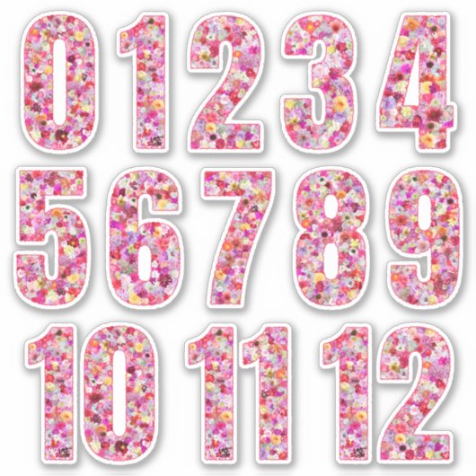 Pink Floral Numbers Twelve Months Sticker (Voorkant)