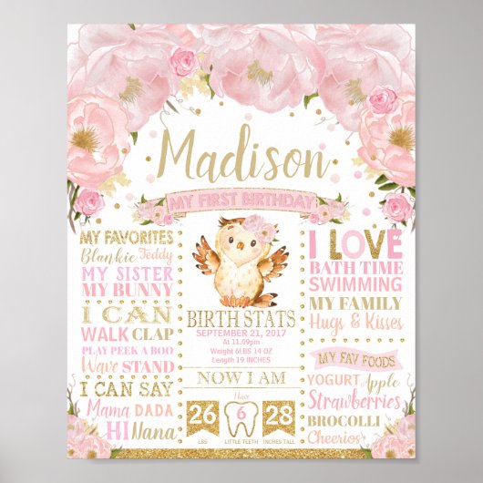 Pink Floral Owl 1st Birthday Milestone Birth Stats Poster (Voorkant)