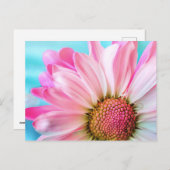 Pink flower briefkaart (Voorkant / Achterkant)