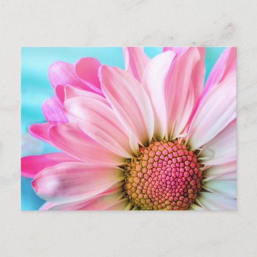 Pink flower briefkaart (Voorkant)