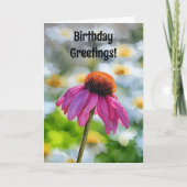 Pink Flower Daisy Flower Verjaardag Kaart (Voorkant)