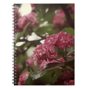 Pink Flowers Blosoom Photo Notitieboek (80 pagina'
