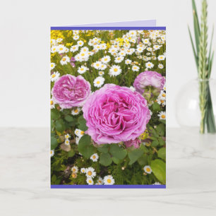 Pink Flowers Floral Roos Rozen Daisy Foto Kaart