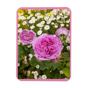 Pink Flowers Floral Roos Rozen Daisy Magneet