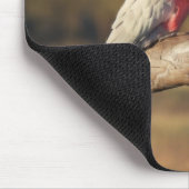 Pink Galahs Muismat (Hoek)