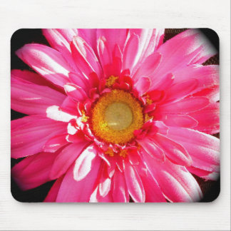 Pink Gerber Daisy Mousepad Muismat