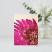 Pink Gerbera Briefkaart (Staand voorkant)