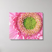 Pink Gerbera Canvas Afdruk (Voorkant)