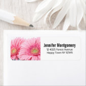 Pink Gerbera Daisies Elegant Foto Etiket (Insitu)