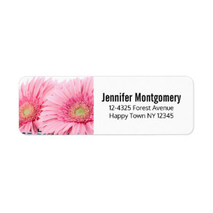 Pink Gerbera Daisies Elegant Foto Etiket