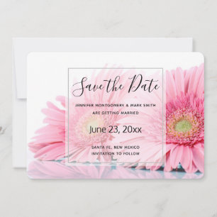 Pink Gerbera Daisies Elegant Foto Save The Date