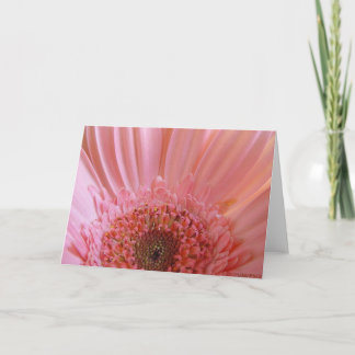 Pink Gerbera Daisy #731 Kaart