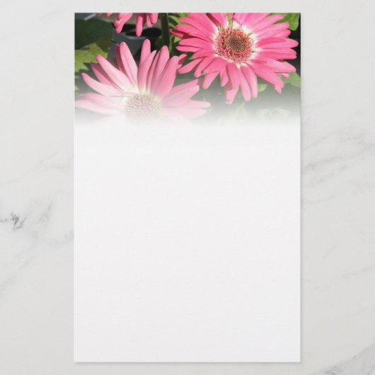 Pink Gerbera Daisy Briefpapier (Voorkant)
