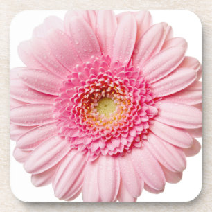 Pink Gerbera Daisy Drankjes Onderzetter
