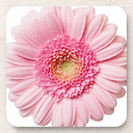 Pink Gerbera Daisy Drankjes Onderzetter (Voorkant)