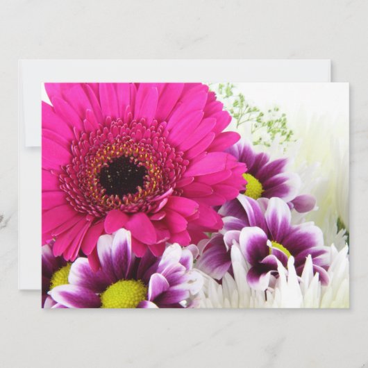 Pink Gerbera Daisy Kaart (Voorkant)