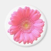 Pink gerbera daisy magneet (Voorkant)