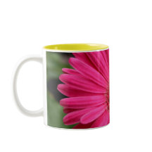 Pink Gerbera Daisy Mok
