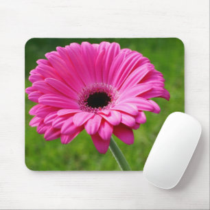Pink Gerbera Daisy Muismat