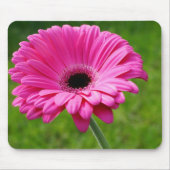 Pink Gerbera Daisy Muismat (Voorkant)
