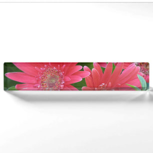Pink Gerbera Daisy Naambordje