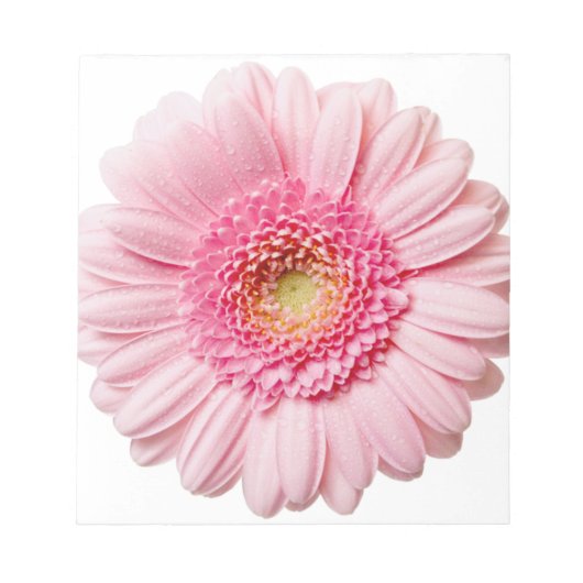 Pink Gerbera Daisy Notitieblok (Voorkant)