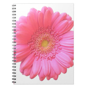 Pink gerbera daisy notitieboek