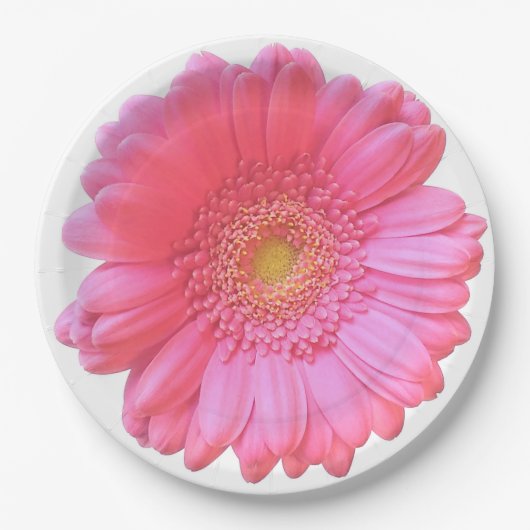 Pink gerbera daisy papieren bordje (Voorkant)
