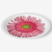 Pink Gerbera Daisy Papieren Bordje (Gekanteld)
