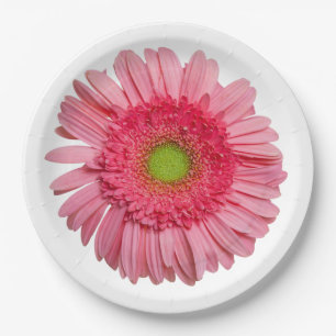 Pink Gerbera Daisy Papieren Bordje