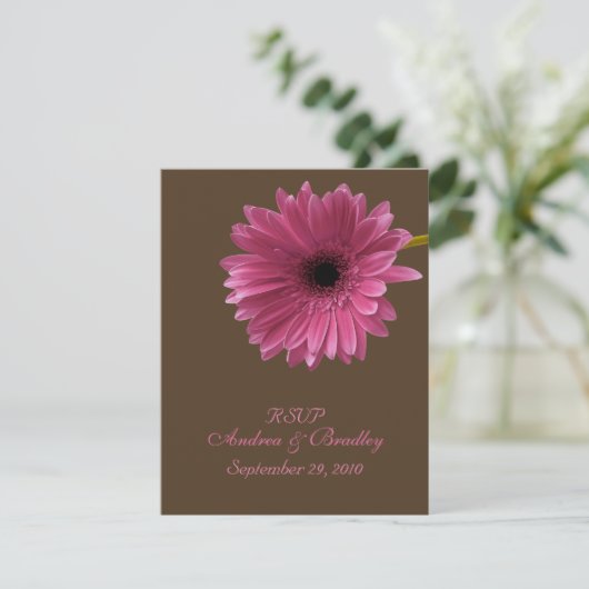 Pink Gerbera Daisy Response Kaart (Staand voorkant)